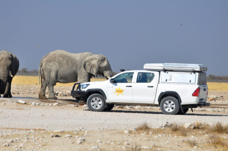A premium 4x4 rental car standing near an elephant.