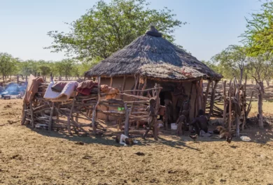 Himba people and dogs at a hut in their village.