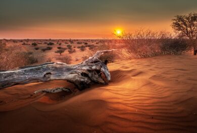 The sunset over the desert at the Bagatelle Kalahari Game Ranch.