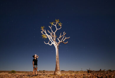 A person standing next to a desert plant at night near the Fish River Lodge.