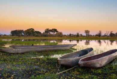 Landscape Views of the Okavango Delta Mocorros