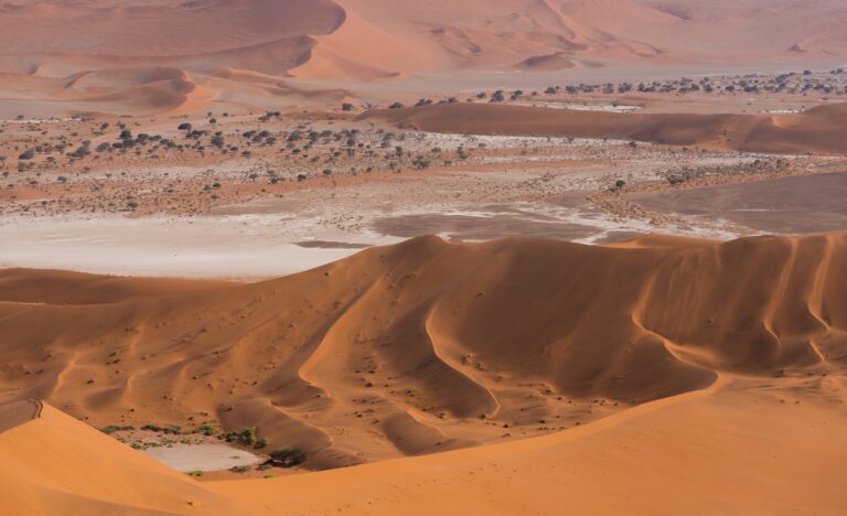 Large dunes and plains in the Namib Desert.