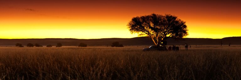 A vehicle standing under a tree at Sesriem Oshana at dusk.