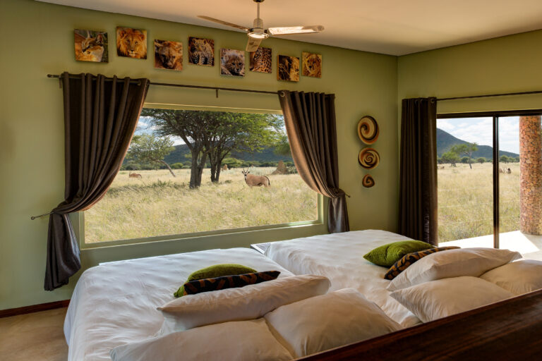 A room at the Okonjima Plains Camp with many Oryx outside the windows.