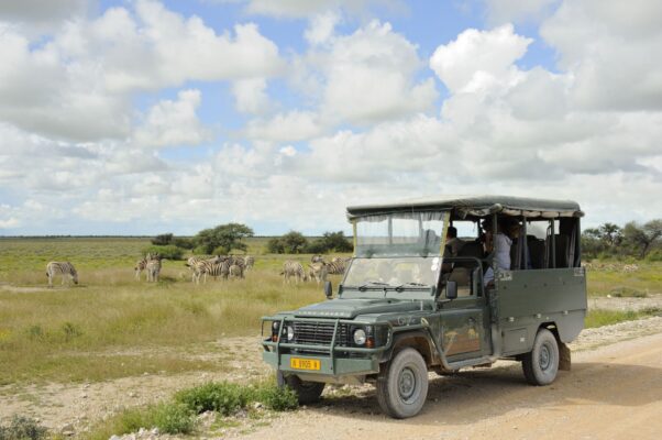 Taleni Etosha Game Drive 02 e1664275173147